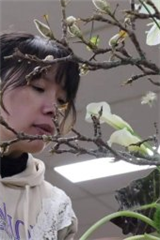 陳素芳