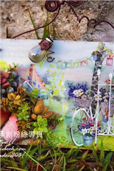 謝春瑜
